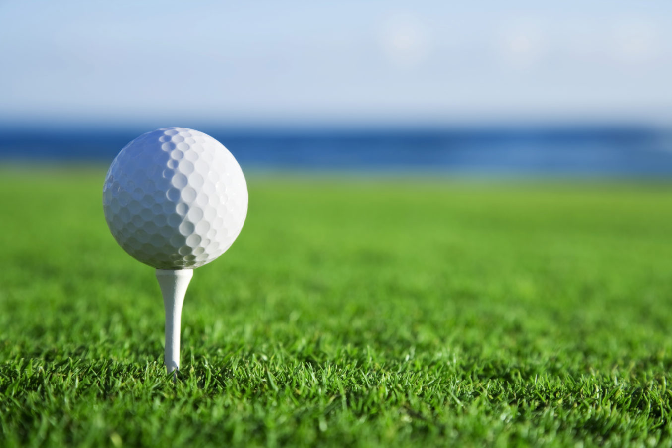 Golf Event Golf Ball on Tee Green Grass LSI, Logistical Support, Inc., Xerox, HP, Oregon, Copier, Printer, MFP, Sales, Service, Supplies