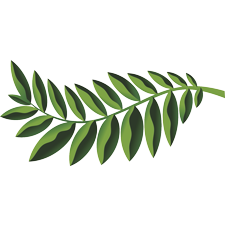 Native Woodlands, Print Releaf, LSI, Logistical Support, Inc., Xerox, HP, Oregon, Copier, Printer, MFP, Sales, Service, Supplies